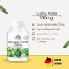 Gotu Kola 750mg - High Dose Extract - Vegan -