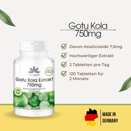 Gotu Kola 750mg - High Dose Extract - Vegan - 120 Tablets - with Zinc and Vitamin C | Herba Direkt