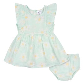 Gerber Baby Girls' 2 Piece Dress and Diaper Cover Set, Daisies, 2T