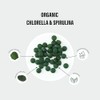 Organic Chlorella and Spirulina - 2500mg - 300 Tablets -