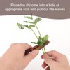 Gosknor Herb Stripper, Wood Vegetable Leaf Stripper with 8 Holes