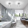 Loiogohot Hallway Ceiling Light Fixtures,Flush Mount Ceiling Lights Metal Cage