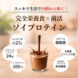 完全食 ソイプロテイン 600g 酪酸菌 乳酸菌 たんぱく質27g 完全栄養食 ダイエット 置き換えダイエット ココア味 人工甘味料不使用 国内製造