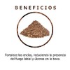 CUACHALALATE CORTEZA, PLANTA SECA, NATURAL, 100% PURA 250 GRAMOS