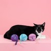 Fringe Studio Plush Cat Toy Set, Time to Unwind, Mini