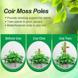 Moss Pole 92 Inch，6 Pack Plant Moss Pole for Climbing Plants -Monstera Plant Support - Coir Totem Poles for Indoor Plants to Grow Upwards - Support and Train Creepers，with Garden Ties Kit