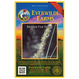 Everwilde Farms - 1000 Brown Fox Sedge Native Grass Seeds - Gold Vault Jumbo Seed Packet