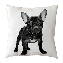 The Beach Stop Decorative French Bulldog Dog Scatter Cushion Cover | Home Decor Inspo | Gift Idea for Frenchie Lovers | 45x45cm 18x18” | Black French Bulldog
