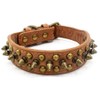 TELEYI Mushrooms Spiked Rivet Studded Adjustable Pu Leather Pet Collars