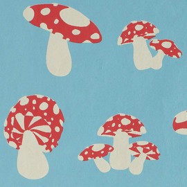 Gift Wrap - Mushrooms - Blue