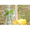 Green & White Striped Paper Straws (6mm x 200mm) -