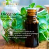 Zeliha 3 Aceites Esenciales Orégano (70% Carvacrol) 100% Puros 15ml