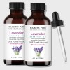 Lavender Essential Oil | 100% Pure and Natural | 4