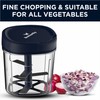 Butterfly 3.8 Cups Premium Plastic Manual Food Chopper, Hand Pull