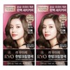 Ryo Uachae Stylish Gray Hair Cream 120g 2pcs Light Brown