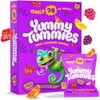 Yummy Tummies Low Sugar Fruit Snacks, 3g Sugar Per Pouch,
