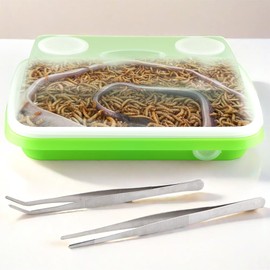 1 Pack Mealworms Breeding Kit Mealworms Keeper with 2 Pcs Insect Stainless Steel Tweezers to Breed Live Worms for Reptile Bearded Dragon Leopard Gecko Lizard Frog Bird Chicken