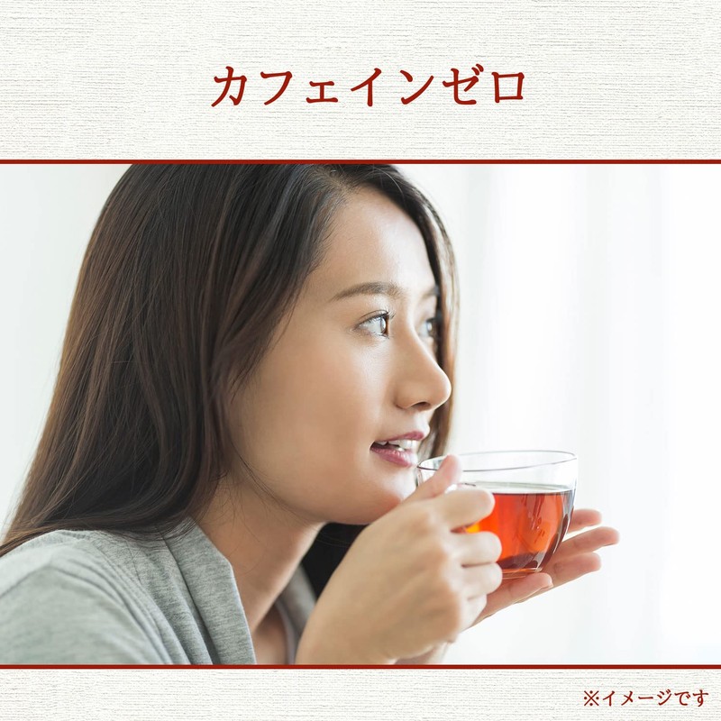 伊藤園 ヘルシールイボスティー ティーバッグ 2.0g×100袋 お得用