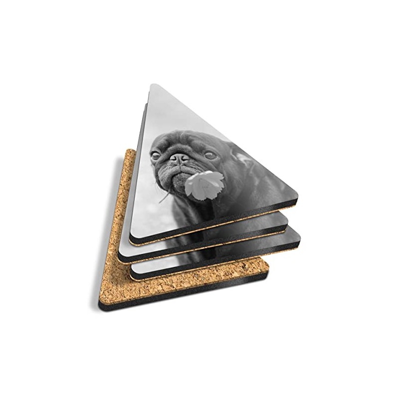 4 x Triangle Coasters - BW - Cute Pug Puppy