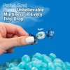 COLOMBINA Delicate Mint Drops, Bulk Mini Breath Freshening Mints (4