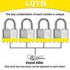 Padlocks with Same Key, LQYN 60 Pcs Laminated Keyed Padlock