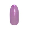 Prigel Gel Nail Color EX Grape Drop 806