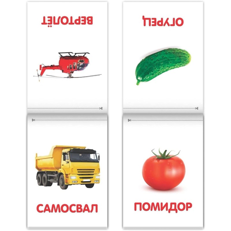 Doman Method Russian Flashcard Book Set for Learning Set -