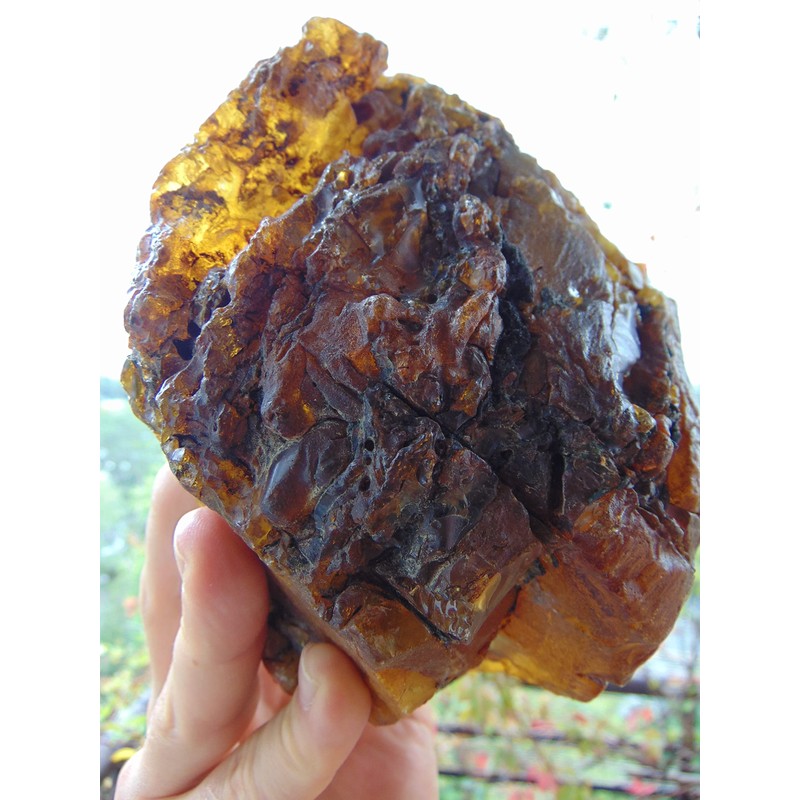 Royal Brand Amber Extract (Succinite) with Peruvian Maca Extract /
