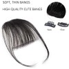 Bangs Hair Clip in Bangs Wispy Bangs Temples Hairpieces for
