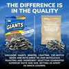 GIANTS Original Sunflower Seeds - Sunflower Seeds to Eat, Sunflower