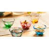 Tsugaru Biidoro Mini Glass Set Glass Five Different by Aderia