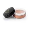 Black Radiance True Complexion Loose Setting Powder, Honeymoon, 0.64 Ounce