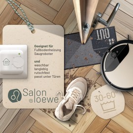 Salonloewe Mini Mat In and Out I Dirt Trapper Mat and Doormat for Indoor Use 30 x 75 cm