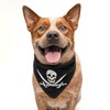 Pirate Skull Flag Dog Bandana (Hot Pink, XS 872)