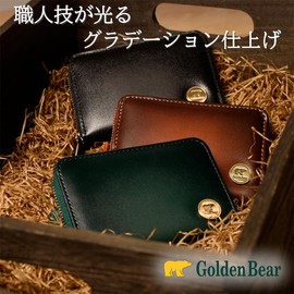 Golden Bear Graduated Leather Multi Wallet Coin Purse, green