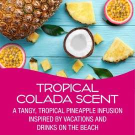 California Scents Palms Paper Tropical Colada Air Freshener