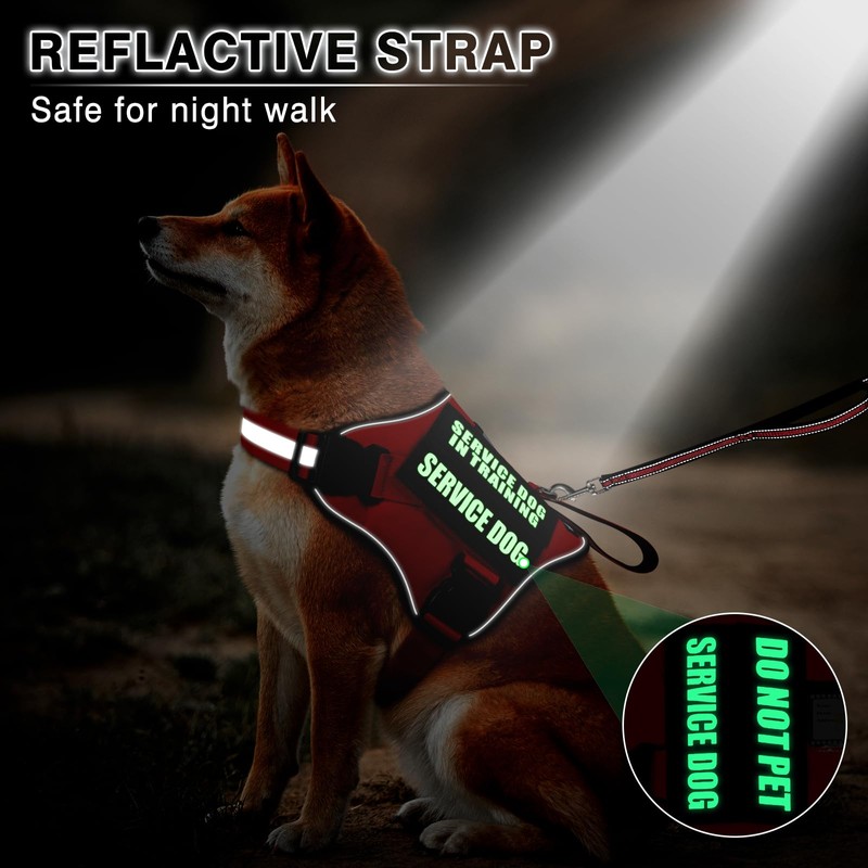 MOOGROU Service Dog Vest Harness and Leash Set+10 Patches,No Pull&Adjustable