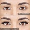 Lash Mania Magnomatic Volume Vivian Must Have Trio