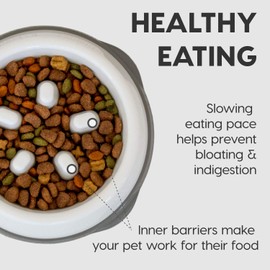 IRIS USA 2-Cup Slow Feeder Dog Bowl, Anti-Choking & Anti-Slip, Puzzle Bowl for Healthy Digestion, Slow Eating Dog Bowl for Long Snouted Dogs, Cats & Pets, BPA-Free, PVC-Free, White/Beige