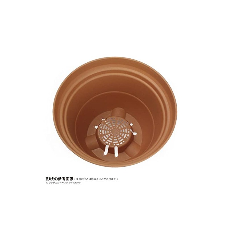 Richell Color Varier Ring Pot No. 7 Coffee Brown (CB)