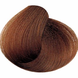 One 'n Only Powder Hair Color Kit, Dark Golden Blonde, Permanent Color in Single Application, 100% Gray Hair Coverage without Lift, Just Add Water - No Developer Needed, Vegan and Cruelty Free