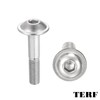 TERF® M6 X 60mm Flange Hex Socket Cap Button Head