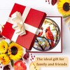 BDHRKTE Cardinal Bird Glass Window Hanger – Christmas Ornament for