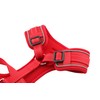 Doodlebone Adjustable Airmesh, Ruby, 2-3
