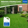 BioSafe Systems ZeroTol HC, Broad Spectrum Algaecide, Bactericide, and Fungicide,