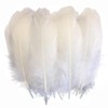SSZYMAOYI Feathers, Artificial Feathers, 50 Sheets, 3.9 - 6.7 inches