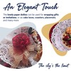 Royal Consumer Medallion Lace Round Paper Doilies, 10-Inch, Pack of