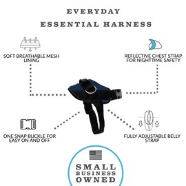 ShawnCo Essential Dog Harness, No-Pull Pet Vest with 3 Leash Clips, No Choke, Reflective, Adjustable and Padded, for Easy Walking and Training for Small, Medium and Large Dogs (Pacific Blue, XS)