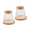 Abaodam 2Pcs Hydroponic Glass Plant Propagation Jars with Stand Lid