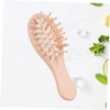 Healeved Wooden Cushion Hair Brush Mini Massage Comb for Scalp